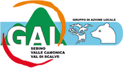 logo del GAL Vallecamonica Val di Scalve